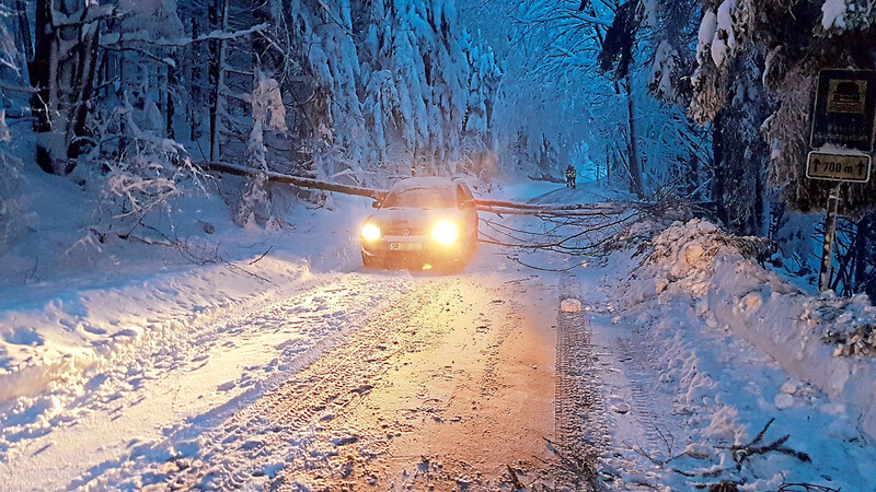 Vorn das Auto, knapp dahinter der Baum: Wenn Schneebruchsituationen auf der Straße so ausgehen, sind alle Beteiligten froh.