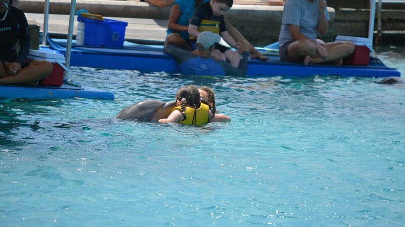 Täglich fand die Therapie im Meerwasserbecken statt. Vanessa schwamm eine Stunde lang mit den Delfinen. Gerne ließ sie sich an der Rückenflosse durchs Wasser ziehen (linkes Bild) und gab den Tieren Küsschen (rechtes Bild). (Fotos: Familie Loibl)