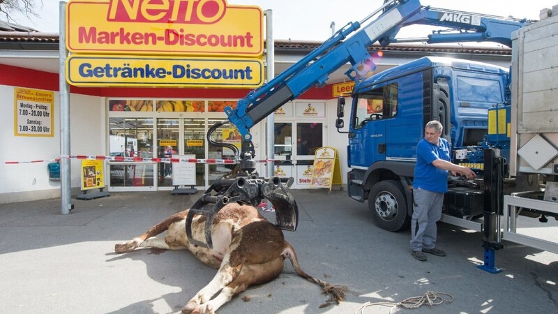 Der wild gewordene Bulle ist von einem Viehtransporter in den Supermarkt geflüchtet und dort erschossen worden.