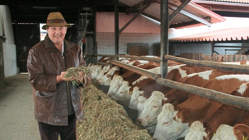 Johann Mayer fürchtet, dass es künftig immer weniger Viehhalter und Schlachthöfe geben wird.