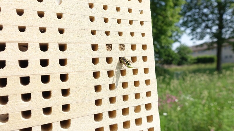 Einen Bienen-Nisthilfe ist Teil den neuen Lebensraum-Konzepts.