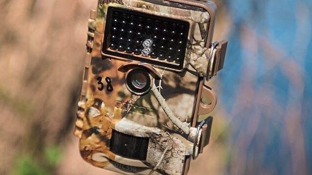 Kameras wie diese geben Aufschluss über die Wanderungen von Wildtieren.
