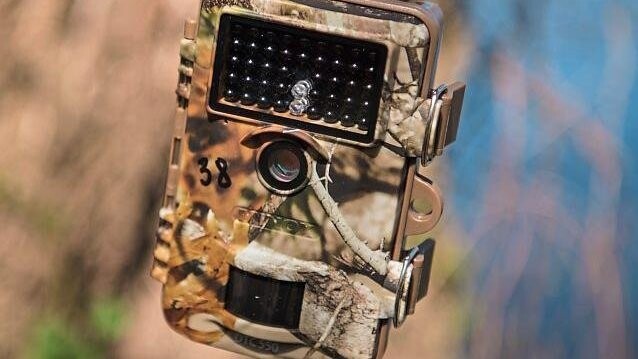 Kameras wie diese geben Aufschluss über die Wanderungen von Wildtieren.