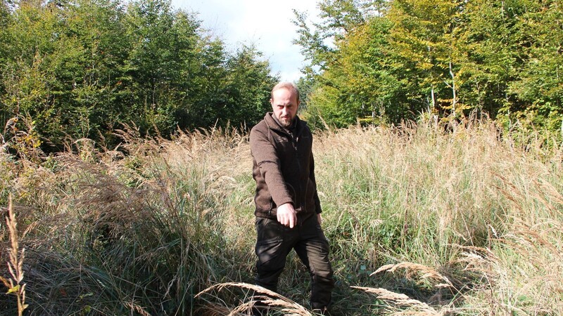 Der Förster Martin Semecký zeigt auf die Stelle, wo er das achtjährige vermisste Mädchen im hohen Gras gefunden hat.