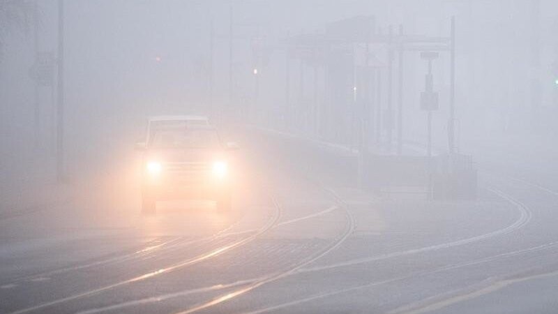 Autos fahren bei dichtem Nebel über eine Straße.