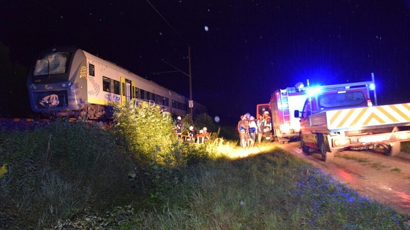 Bei Neustadt an der Donau fuhr ein Zug gegen einen Baum. Der Lokführer und die Fahrgäste mussten von den Rettungskräften befreit werden.