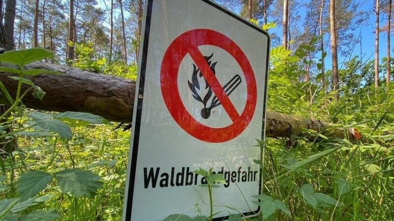 Ein Schild mit der Aufschrift "Waldbrandgefahr" hängt an einem Baumstamm.