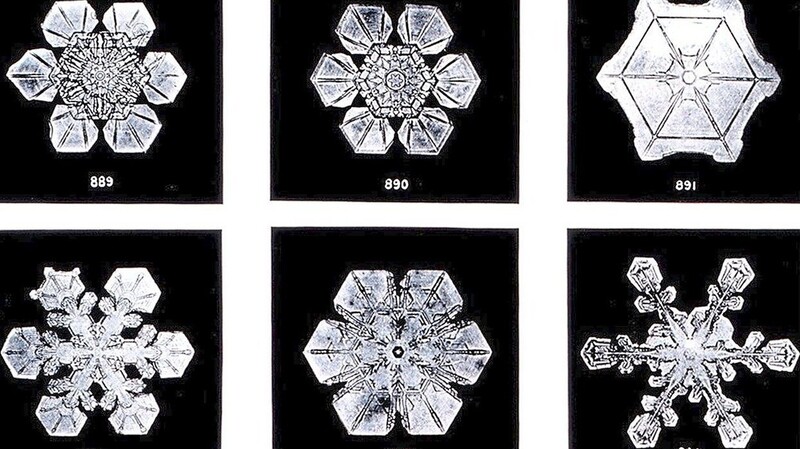 So unterschiedlich können die Eiskristalle aussehen, aus denen sich Schnee zusammensetzt.