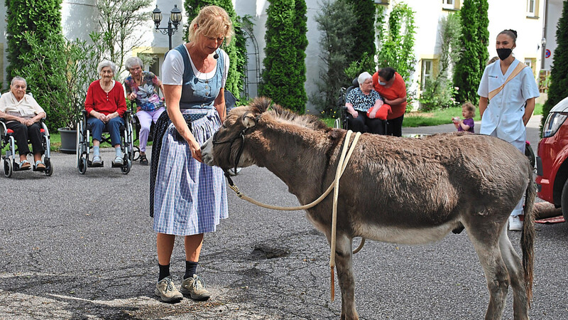 Lydia Wein kommt im Sommer regelmäßig mit ihrem "Eselzirkus" nach Eggmühl.