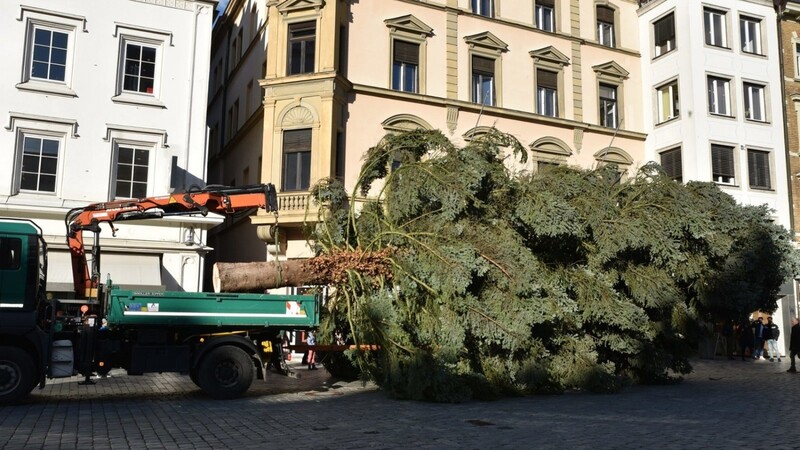 Am Dienstagnachmittag wurde am Straubinger Stadtplatz der Christbaum aufgestellt.