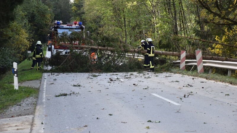 Im Landkreis Passau zersägt die Feuerwehr einen Baum, der durch den Sturm auf eine Straße gefallen war.