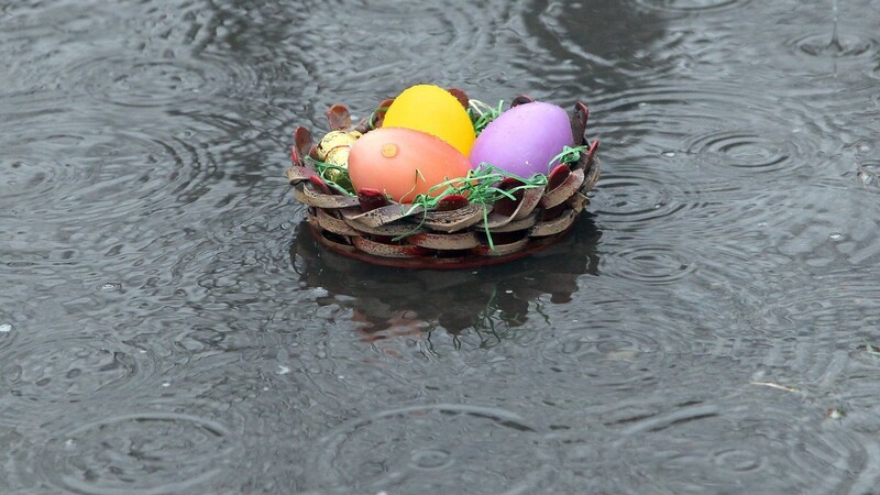 Ein Nest mit gefärbten Ostereiern im Regen