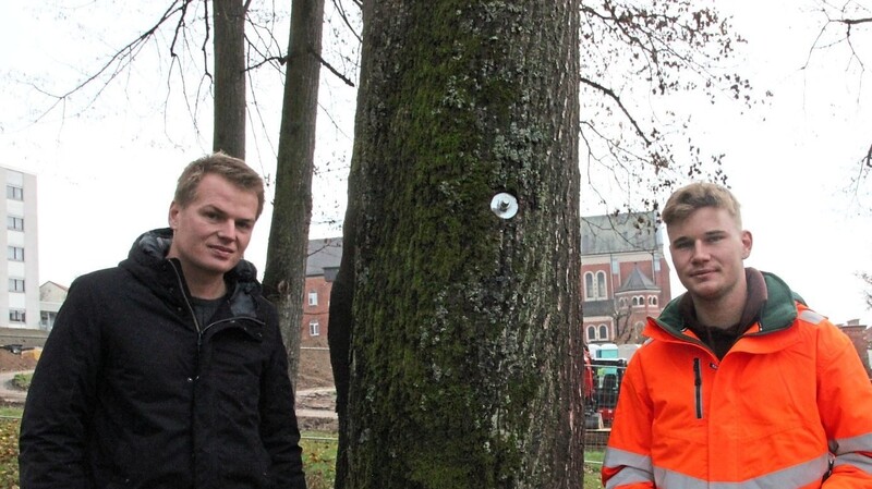 Über 1 000 Bäume hat Sebastian Meier (rechts) schon erfasst. Wie viele noch fehlen? "Das weiß keiner", sagt Sebastian Karl (links). Er schätzt, dass es insgesamt über 10 000 Bäume sein müssten.