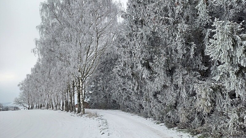 Winterstimmung rund um Mainburg. Raureif sorgte am Sonntag für malerische Momente.