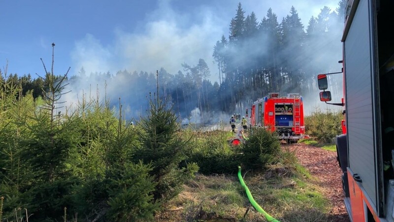 Oft reichen ein Funke oder die Glut einer Zigarettenkippe: Die Trockenperiode lässt in der Region die Gefahr von Waldbränden wie dem bei Eugenbach ansteigen.