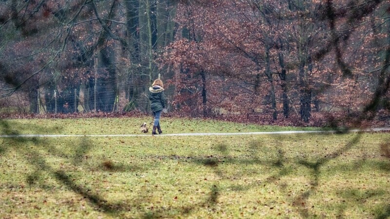 Eine Frau geht mit einem Hund im Dörnberg Park in Regensburg auf einem Weg.