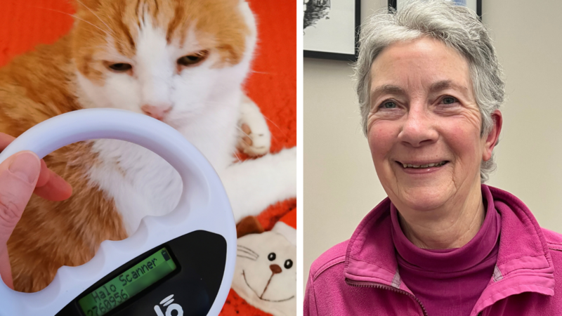 Wenn die eigene Katze wie hier Monika Meyers Kater Pauli gechipt und registriert ist, kann die 69-Jährige mithilfe ihres Chiples
