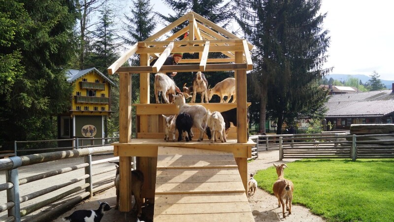Das neue Spielhaus der Ziegen erfährt regen Zuspruch.