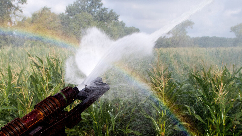 Industrie und Agrarsektor kommt bei der Wasserstrategie eine zentrale Rolle zu