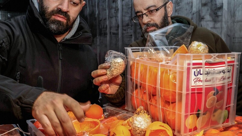 Libanesische Zollbeamte mit beschlagnahmten Captagon-Pillen, die in gefälschten Orangen zwischen einer echten Obstladung im Hafen von Beirut versteckt waren.
