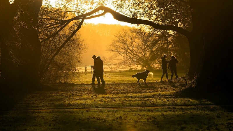 Spaziergänger nutzen das schöne Herbstwetter für eine Runde im Grüngürtel bei Sonnenaufgang.