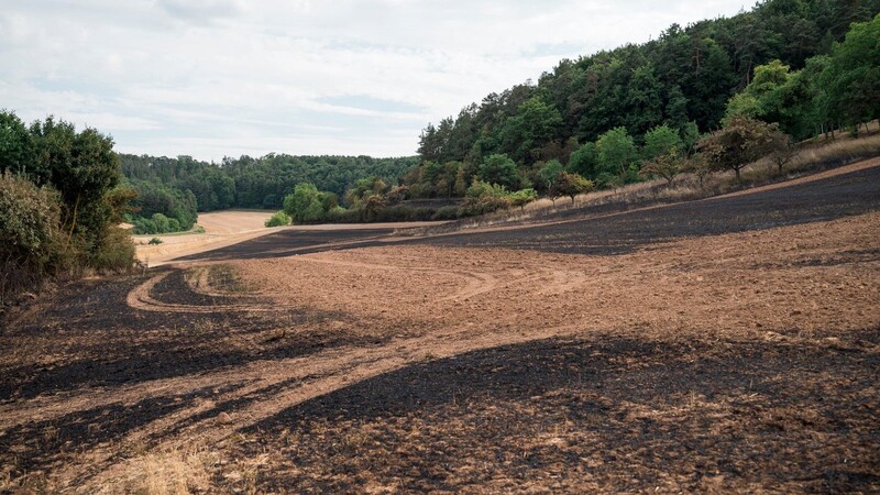 Verbrannte Felder nach einem großen Brand bei Elfershausen in Unterfranken.