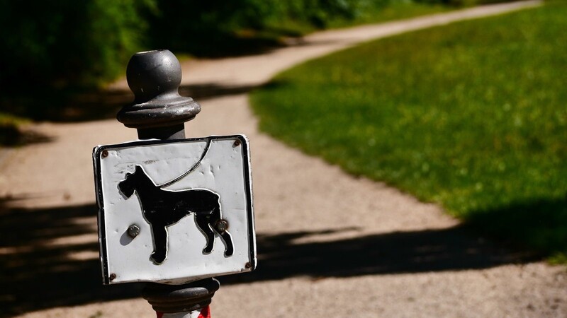 In Sünching hat am 19. April ein Hund eine Radfahrerin gebissen. (Symbolbild)