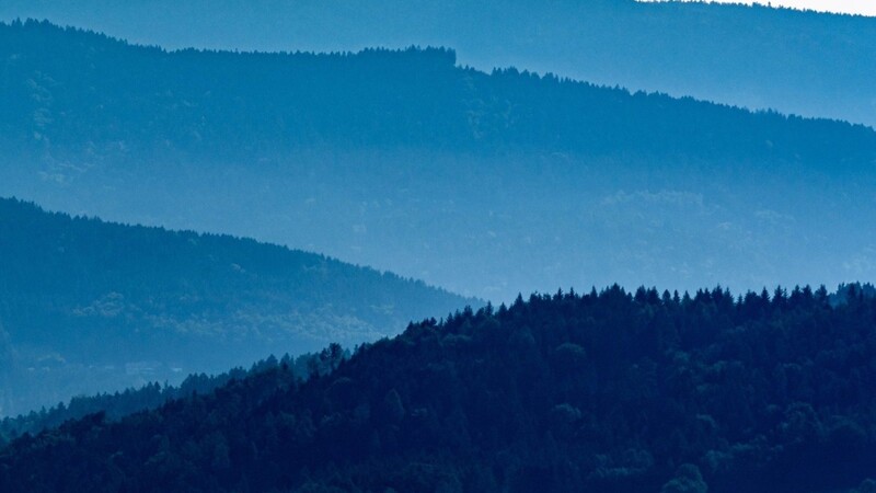 Die Landschaft des Bayerischen Waldes. (Symbolbild)