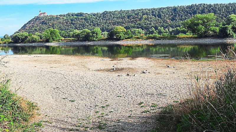 Trockenheit im August auch an der Donau bei Hermannsdorf (Gemeinde Aiterhofen).