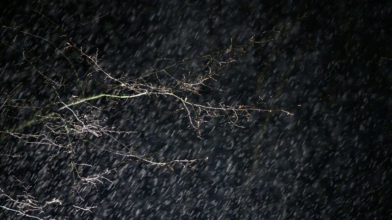 Regentropfen fallen im Schein eines Scheinwerfers vor den Ästen eines Baums. Erst "Ylenia", dann "Zeynep" und jetzt "Antonia": Die Serie schwerer Stürme reißt vorerst nicht ab
