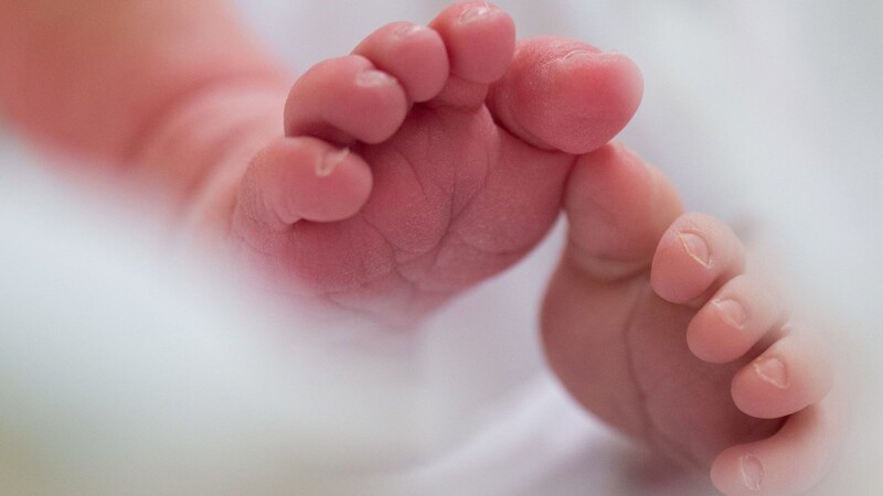 Am Straubinger Klinikum Sankt Elisabeth werden immer mehr Babys zur Welt gebracht (Symbolbild).