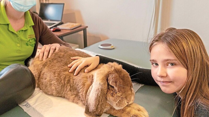 Mona und ihr Kaninchen Staller absolvierten ihren ersten Termin bei Tierphysiotherapeutin Sandra Morgenstern in Oberaichbach.