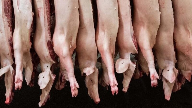 Halbierte Schweine hängen in einem Schlachthof. Der Fleischkonsum in Deutschland ist rückläufig.
