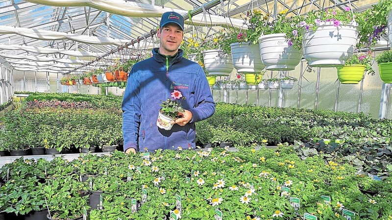 Michael Mühlbauer junior mit der "Pflanze des Jahres 2020", der "Rockin' Rosi", des Bayerischen Gärtnereiverbandes. Diese besondere Dahlie und viele weitere Blumen hat die Further Gärtnerei im Angebot.