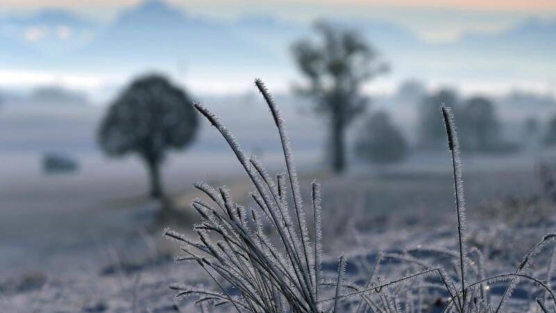 In Ostbayern soll es ab Mitte der Woche Frost geben (Symbolbild).