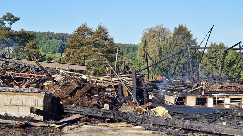 Der Schaden nach dem Brand in der Zimmerei geht laut ersten Schätzungen wohl in die Millionenhöhe. (Foto: nik)