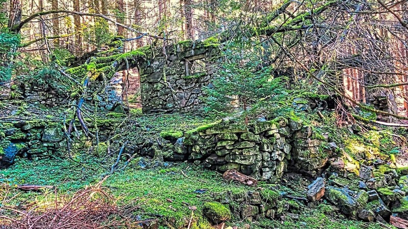Die Einöde Scheibenried ist heute unter Fichtenwald verschwunden: Ein steinerner Zeuge der Vergangenheit nahe der Grenze.