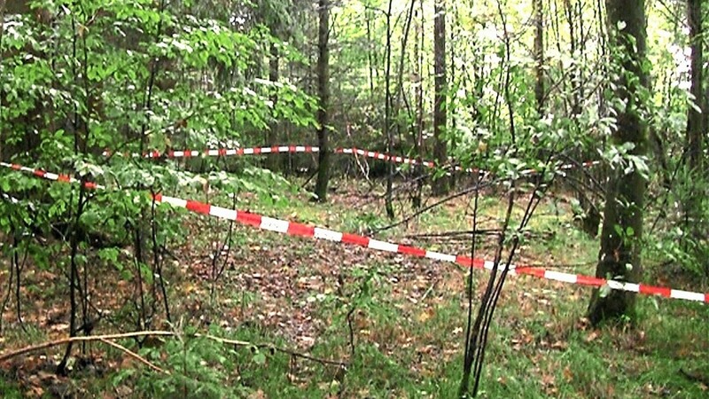 September 2013: Mit Flatterband hat die Polizei den Fundort einer Leiche abgesperrt. Ein Schwammerlsucher hatte dort die sterblichen Überreste der vermissten Maria Baumer gefunden.