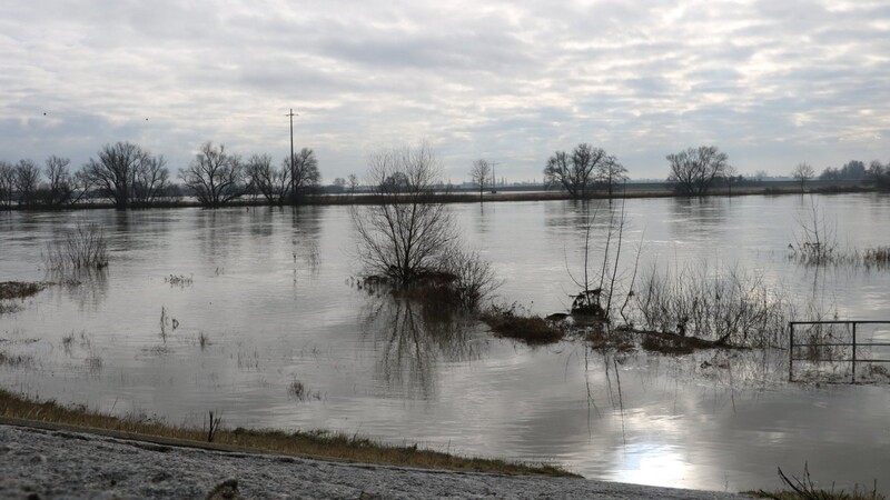 Die Donau bei Reibersdorf ist etwas über die Ufer getreten. Eine Pegelhöhe wie diese ist kein Problem; aber Donauanlieger wissen, dass der Strom auch ganz andere Ausmaße annehmen kann. Daher hoffen viele auf den baldigen Baubeginn der geplanten Verbesserungen.