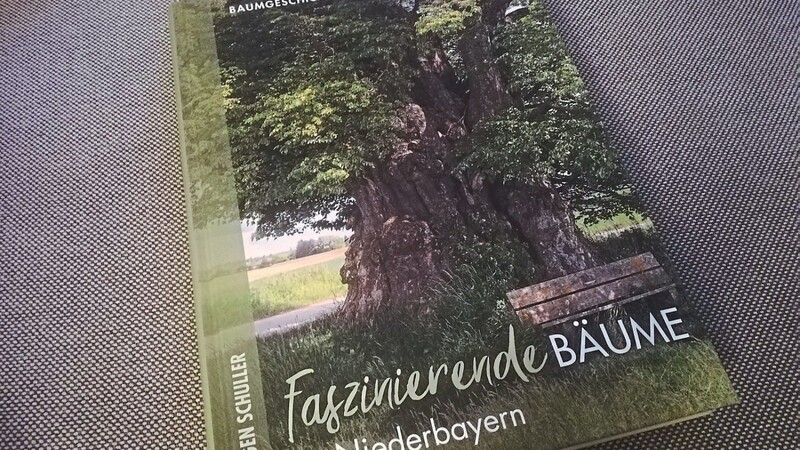 In diesem Buch finden sich viele Bäume, die eine Reise wert sind.