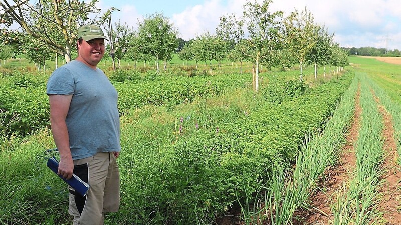 Biobauer Martin Menzl am nördlichen Rand seiner kultivierten Flächen vor Reihen mit Kürbis, Zwiebeln und Gelben Rüben.