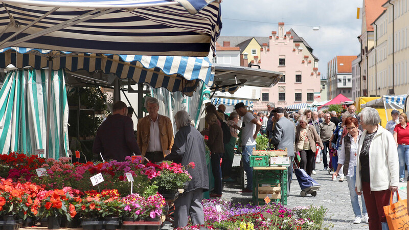 Auf dem Wochenmarkt in der Neustadt werden in der Pflanzzeit höhere Gebühren für zusätzliche Standflächen fällig. Das sorgt für Unmut unter den Marktkaufleuten.