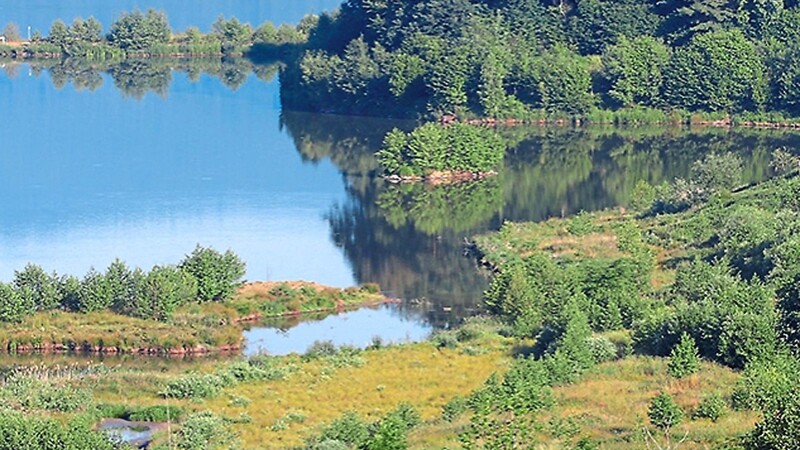 Der Danglesbach, der in die Ökozone des Drachensees mündet, ist ein wichtiges Brutgebiet .