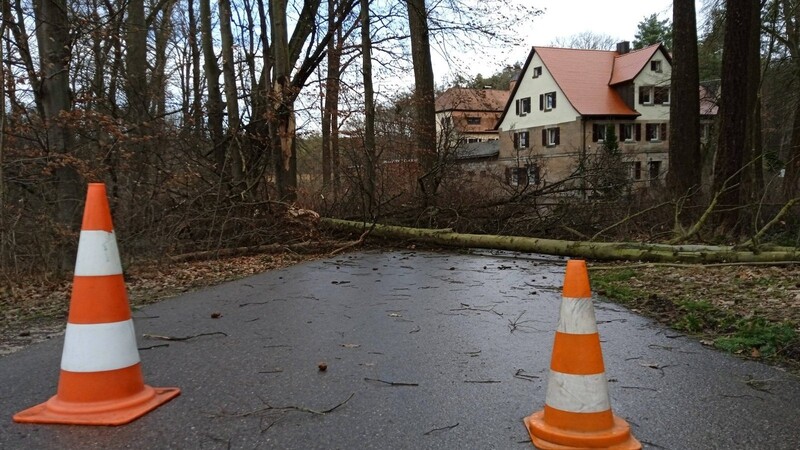 Sturmtief "Ylenia" richtet in ganz Deutschland Schäden an. Auf dem Foto fiel neben einigen Häusern ein Baum um. (Symbolbild)