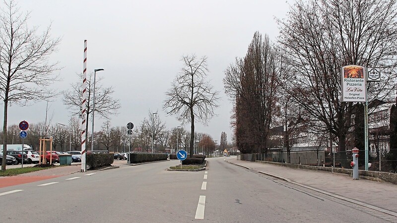 Ein Zebrastreifen würde das Queren der Harburger Straße erleichtern, meinen die Schüler.