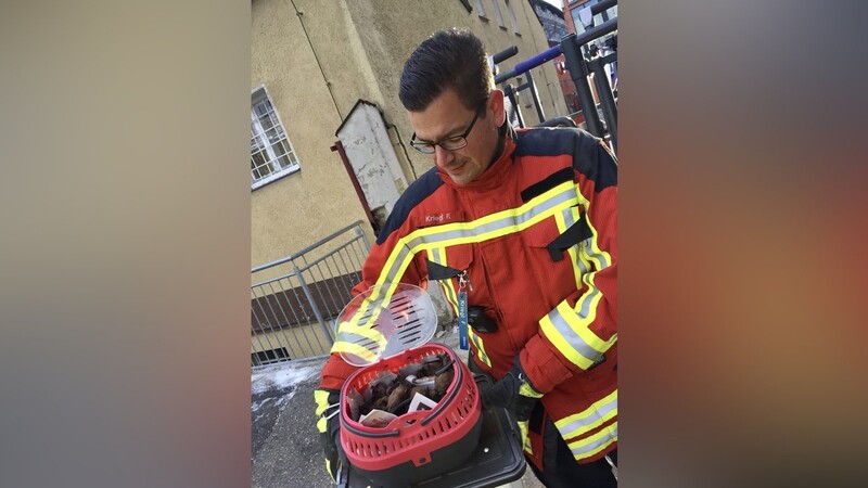 Rettungsmission geglückt: Die Landshuter Feuerwehr bewahrte am Mittwoch etliche junge Fledermäuse vor dem sicheren Tod.