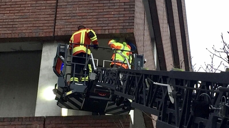 Mit der Drehleiter fuhren ein Feuerwehrmann und ein Fachmann vom Amt für Naturschutz zum dritten Stockwerk des Bürogebäudes, um die Jungtiere zu befreien.