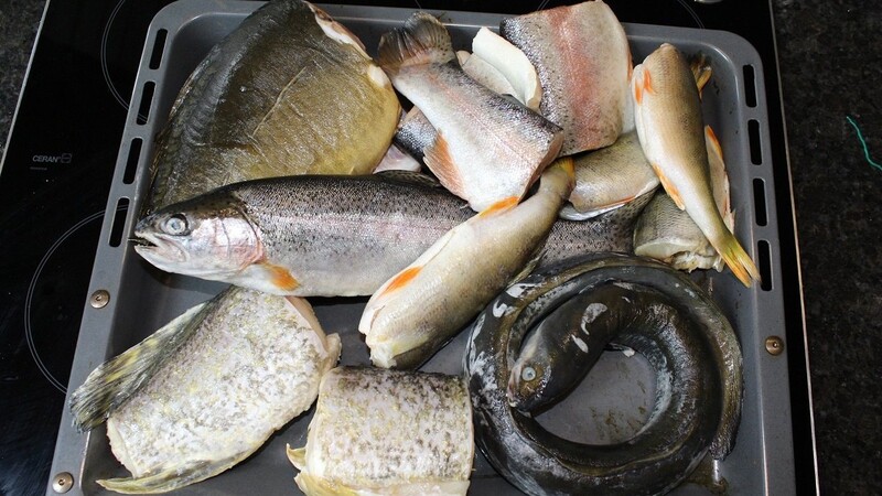 Das Wichtigste für die Fischsuppe: die Fische. In ihrem Rezept verwendet Anja Auer dafür Hecht, Karpfen, Forelle, Barsch und Aal.