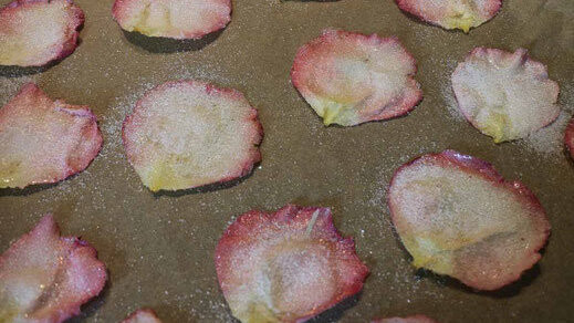 Die mit Eiweiß und Zucker behandelten Rosenblätter im Backofen trocknen lassen.
