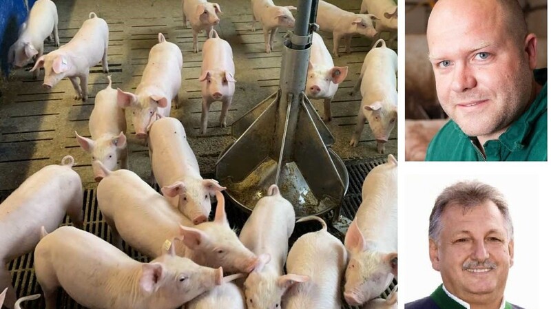 2020 gab es in Bayern noch 7 866 Schweinehalter in Bayern, rund 3 000 weniger als noch vier Jahre zuvor. Einer von ihnen ist Martin Wimmer (rechts oben), Betriebsleiter am Kastanienhof in Essenbach mit 600 Mastschweinen und 900 Mutterschweinen zur Ferkelaufzucht.